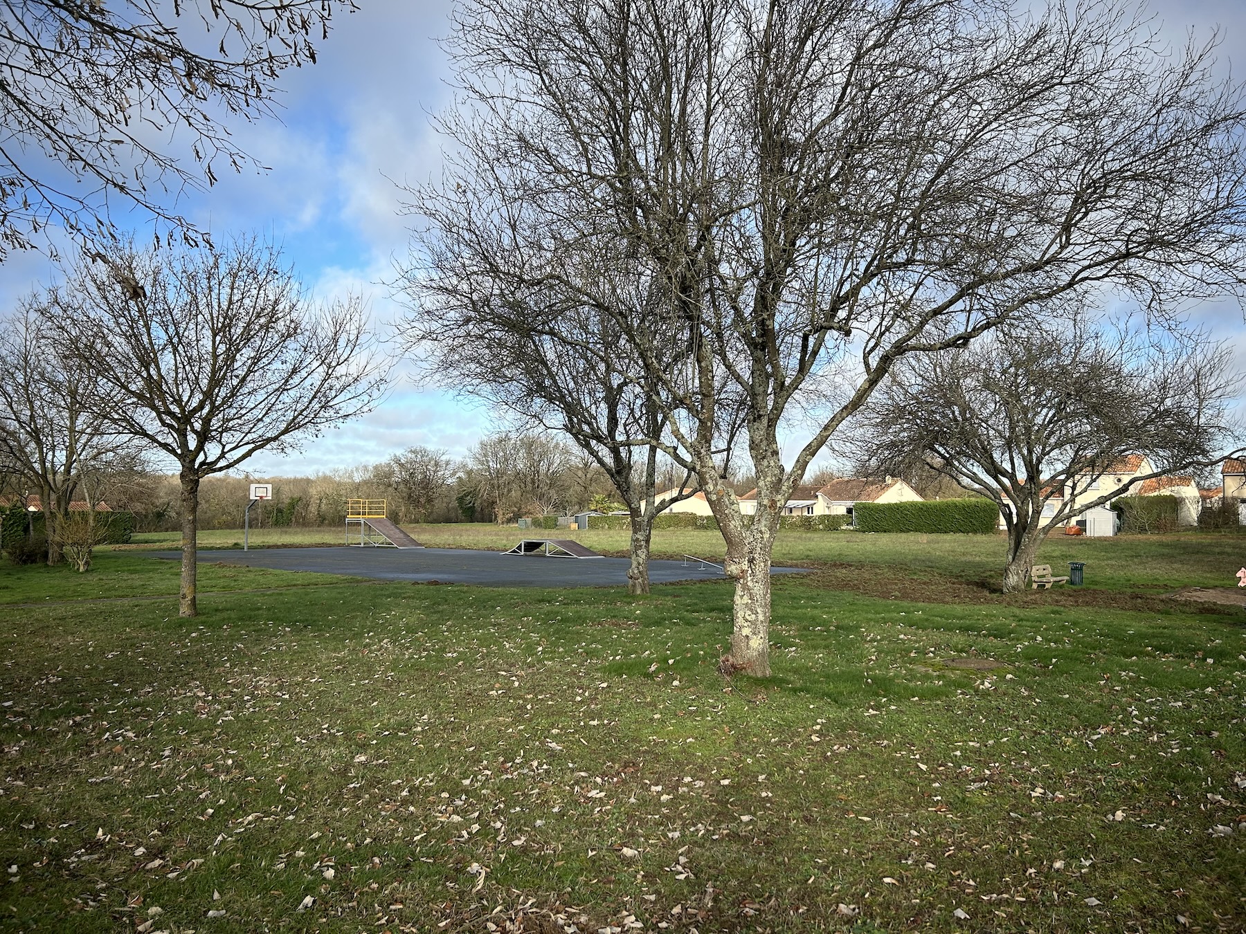 Vouneuil-sous-Biard skatepark